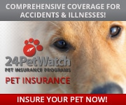 24PetWatch Banner